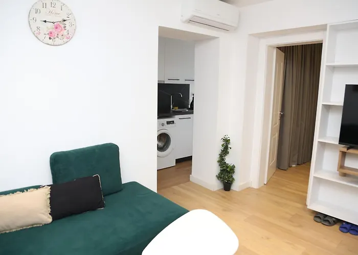 Orchide Mine Peza Daire Tiran